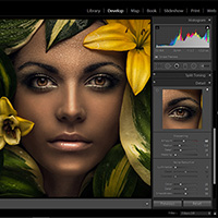 sp_services_sharpening